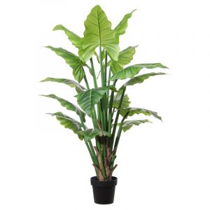 Colocasia kunstplant