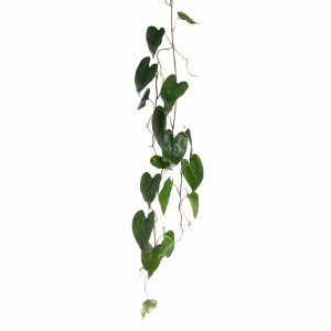 Anthuriumblad hanger Groen L115cm