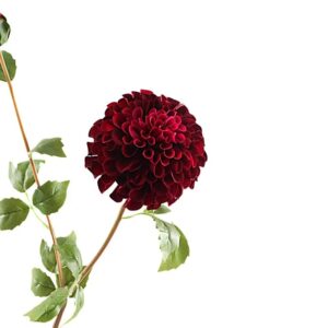 Kunstbloem Dahlia spray burgundy 75cm FL440078BUR