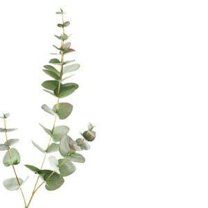 Kunsttak Eucalyptus Spray Groen 85 cm LV330071GRN