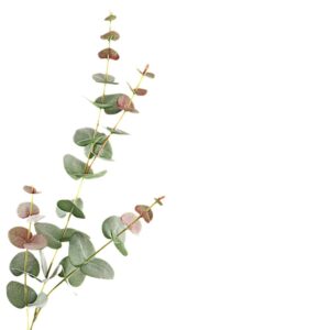 Kunsttak Eucalyptus Spray Groen/Rood 85 cm LV330071GRD