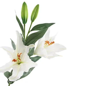 Lelie wit 100cm 450083