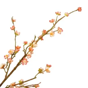 Prunus kersenbloesem peach 70cm 440108