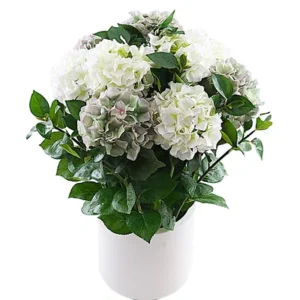Witte Hydrangea in Pot 75cm PP550030WHI