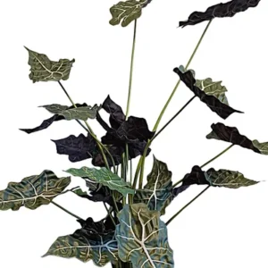 Alocasia in Pot 120cm PP550036GRN