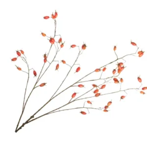 Rozenbottel Oranje 95cm V330157ORA