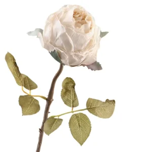 Kunst roos droogbloem beige - 58 cm
