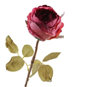 Kunst roos droogbloem bordeaux - 58 cm