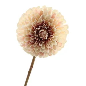 Kunst dahlia crème-roze   -64cm