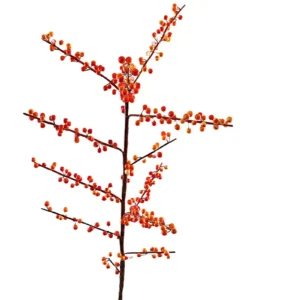 Kunst ilex bessentak oranje